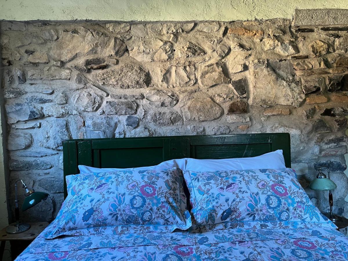 נסו Castagna Holiday Home מראה חיצוני תמונה